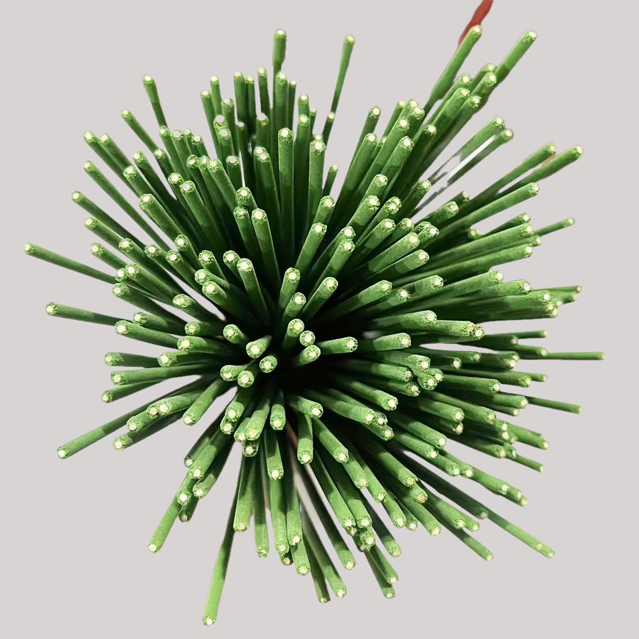 Kamış Difüzör Çubukları Limon  - Home Fragrance Verbena incelemesi ve fiyatı